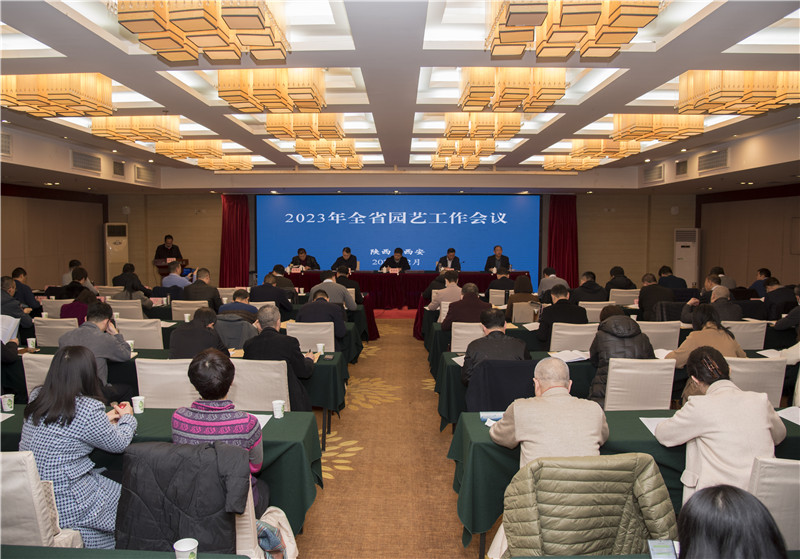 会议现场.jpg