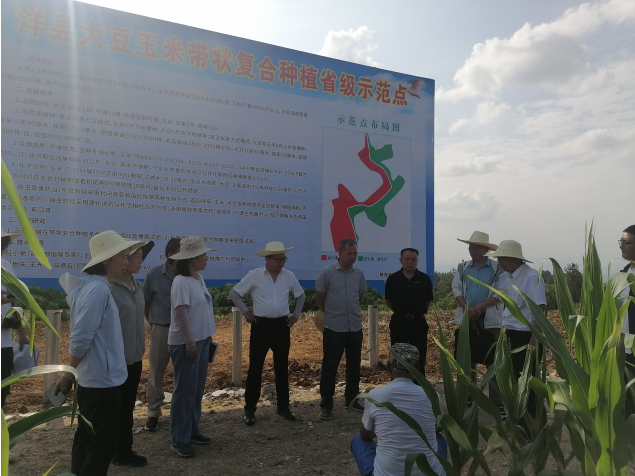 截图_选择区域_20230720083822.png