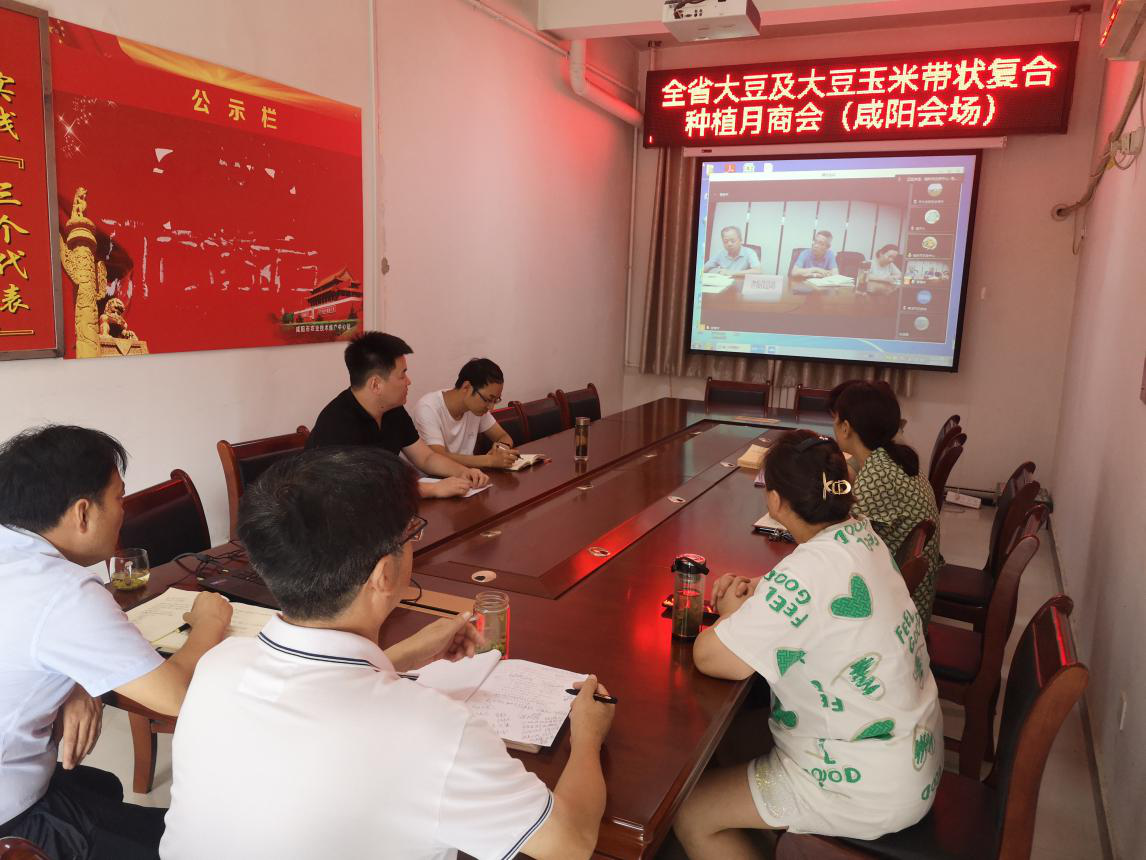 图片7.png