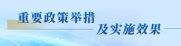 重要政策举措及实施效果