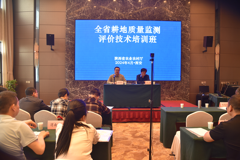 会议现场1.png