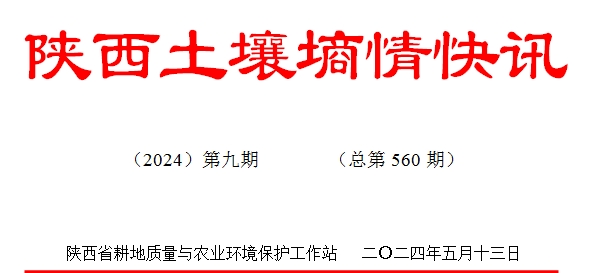 123.jpg
