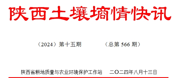 123.jpg