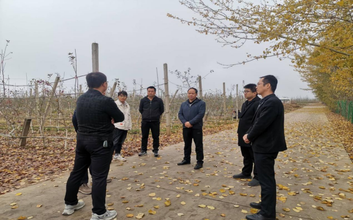 图片2.png