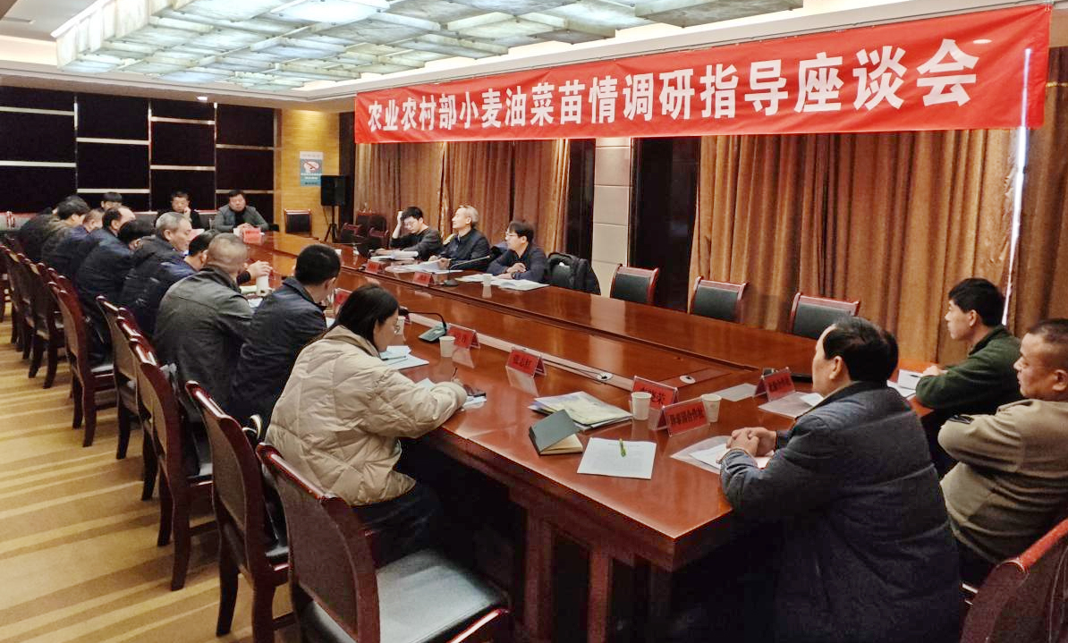 图片1k.jpg